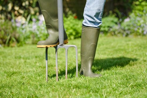 Garden Tools