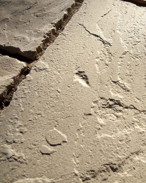 Yorkstone Riven Paving - Image 4